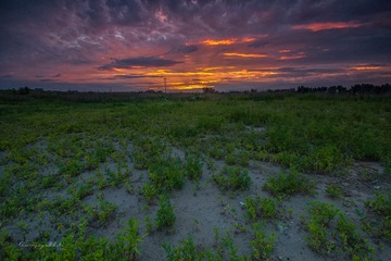 _MG_0035 l