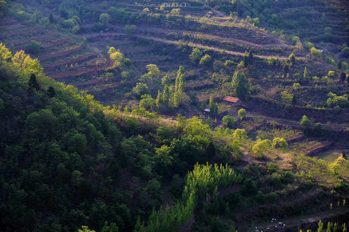 沂蒙山