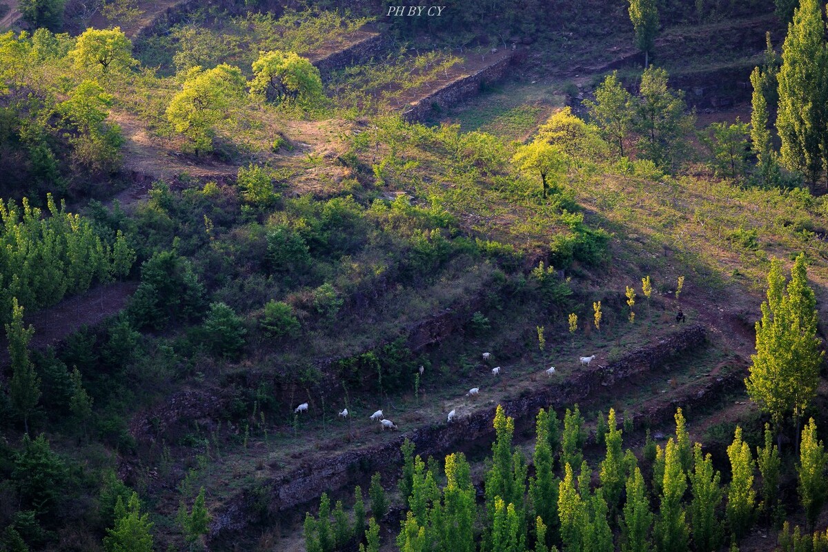 沂蒙