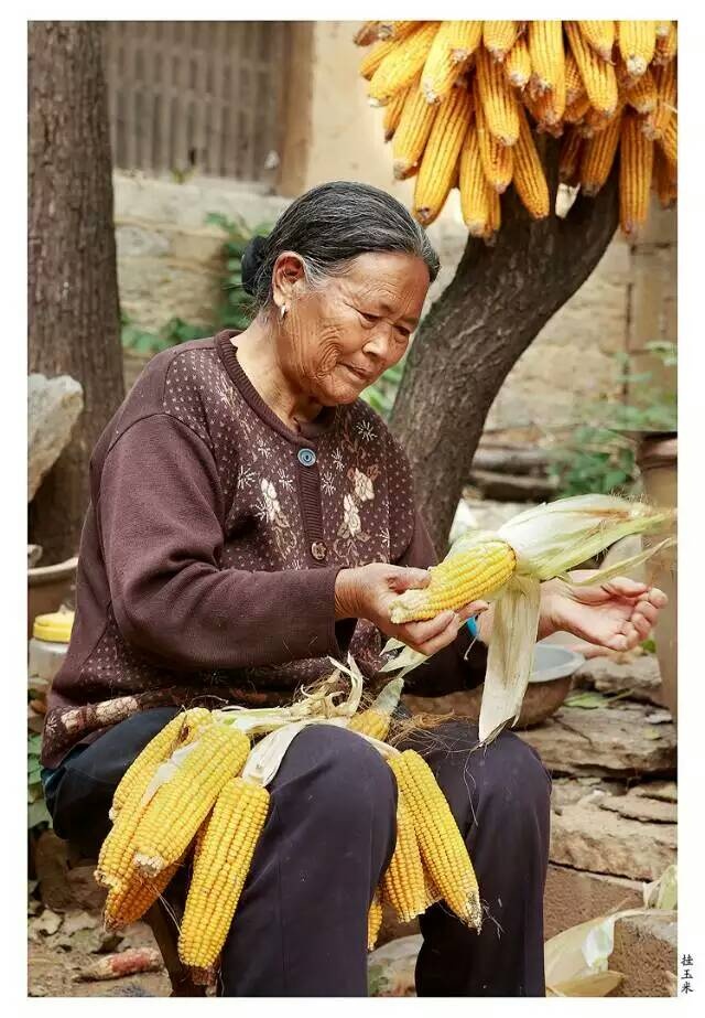 勤劳质朴沂蒙人