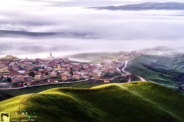 _DSC4800