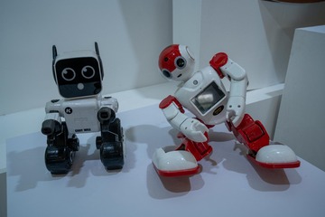 YAN00100