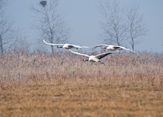 20120131-_DSC0120.jpg