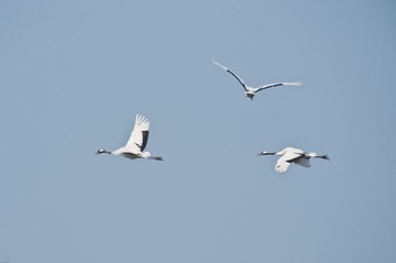 20120131-_DSC0017.jpg