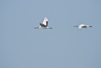 20120131-_DSC0018.jpg