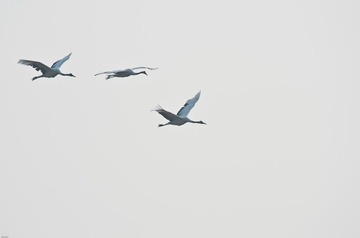 20120131-_DSC0026.jpg