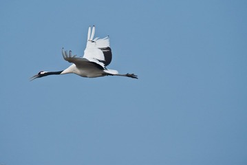 20120131-_DSC0044.jpg