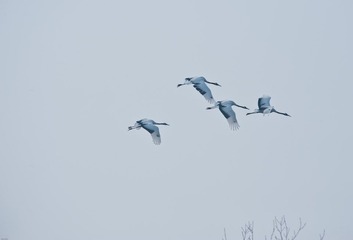 20120131-_DSC0048.jpg
