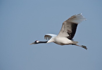 20120131-_DSC0073.jpg