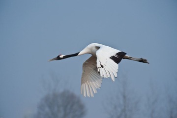 20120131-_DSC0075.jpg