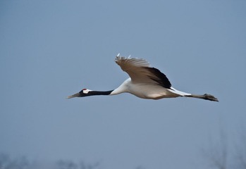 20120131-_DSC0076.jpg