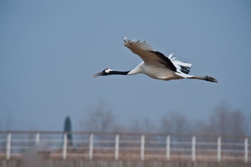 20120131-_DSC0077.jpg