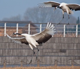 20120131-_DSC0085.jpg