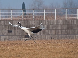 20120131-_DSC0102.jpg