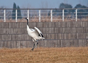 20120131-_DSC0105.jpg
