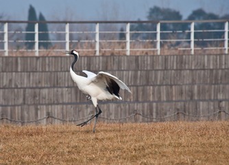 20120131-_DSC0106.jpg