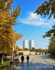 1054539