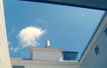 青空·小刺猬