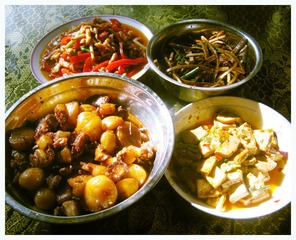 餐桌上的一抹阳光