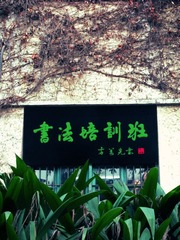 绿得很醒目
