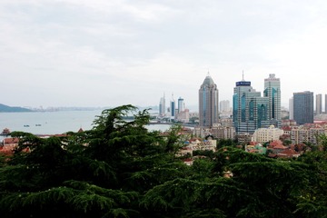 _DSC3944