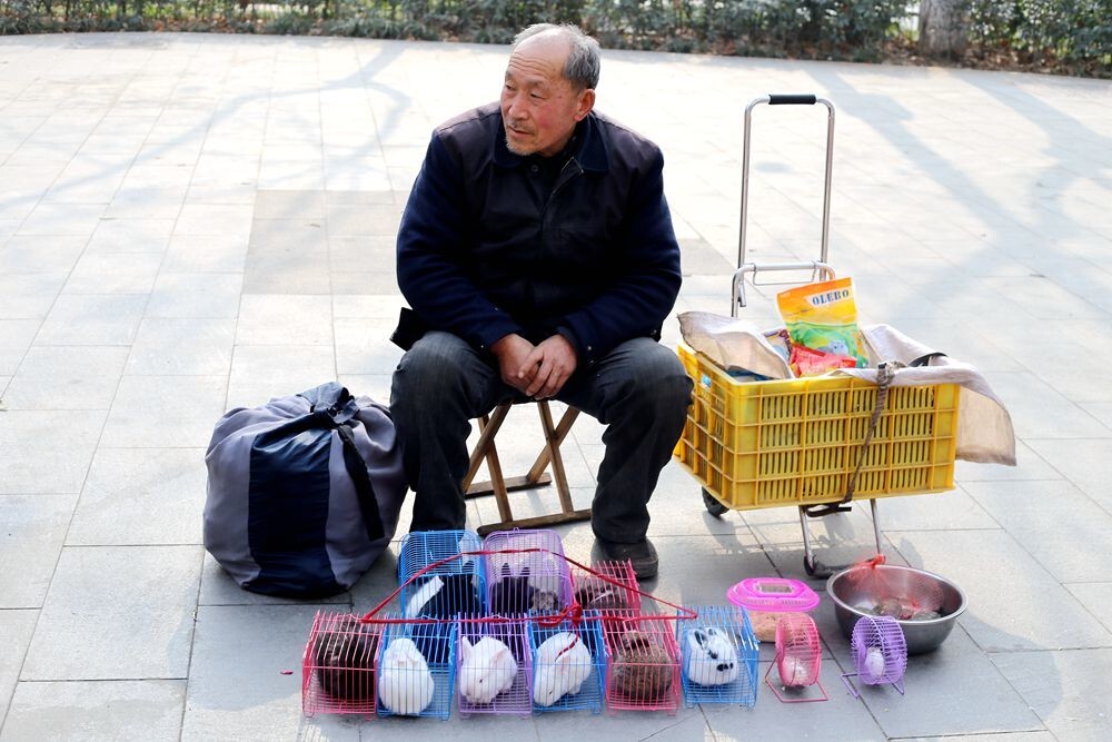小摊小贩闪亮登场