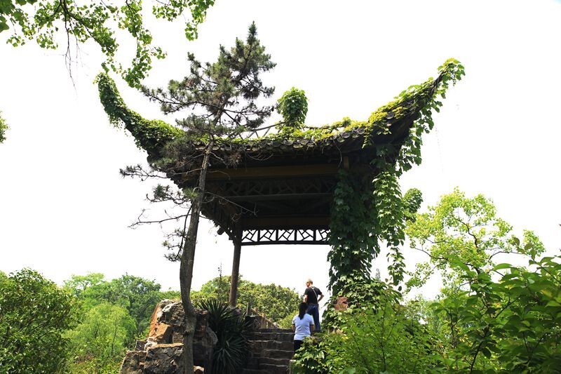 廋西湖美景欣赏