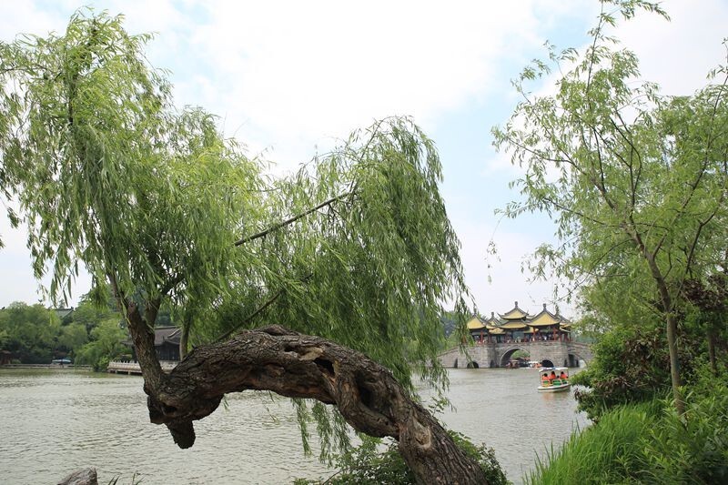 廋西湖美景欣赏