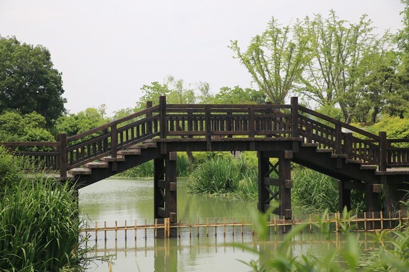廋西湖美景欣赏