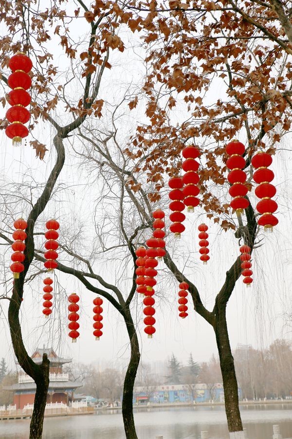 大红灯笼高高挂