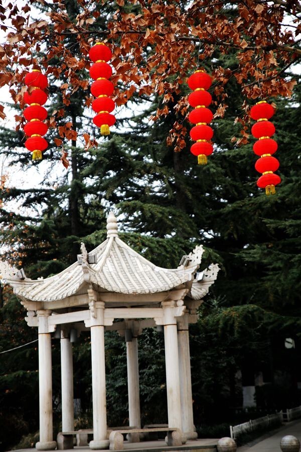 大红灯笼高高挂