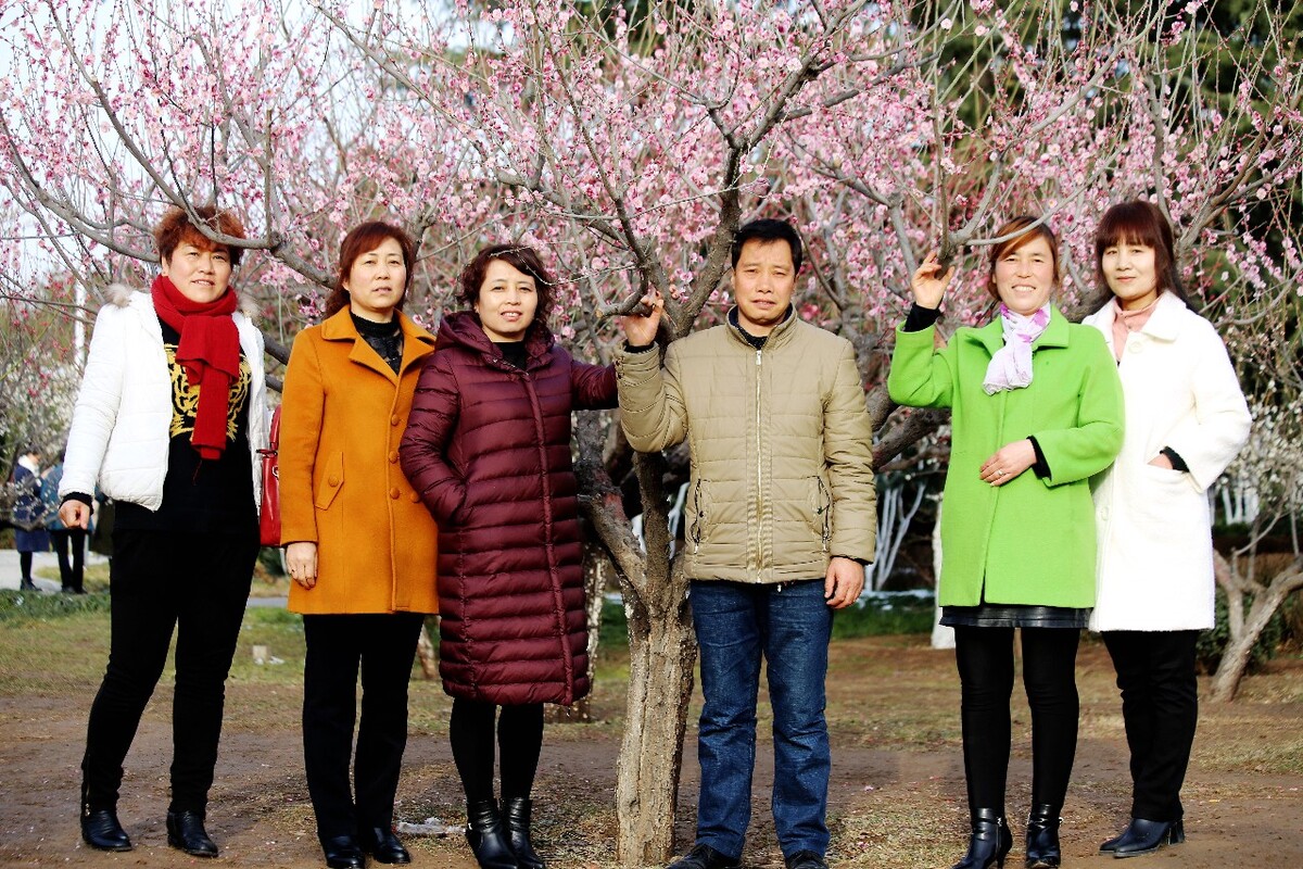 赏春图人