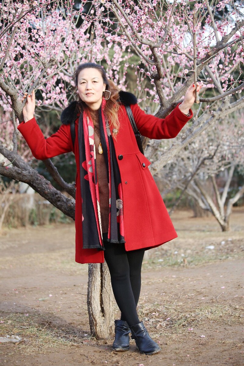赏春图人