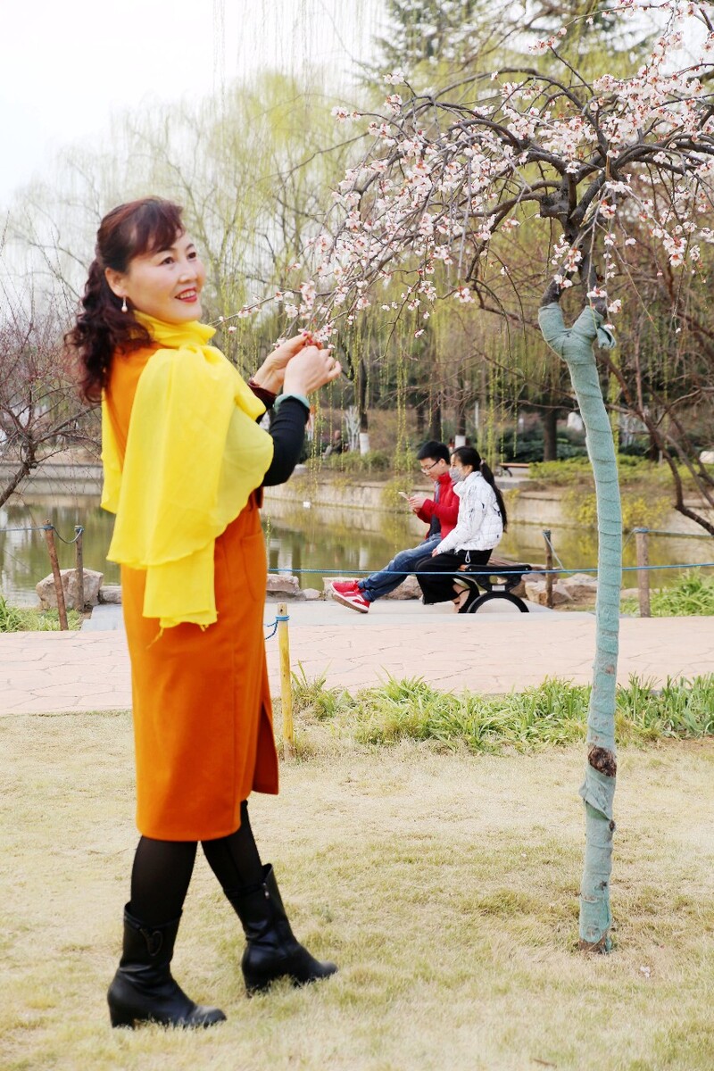 春天的童话