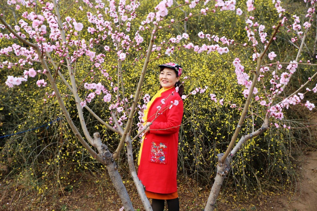 春天的童话