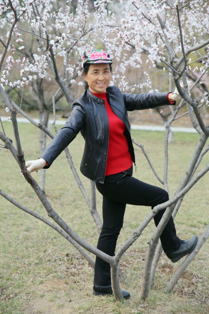 春天的童话