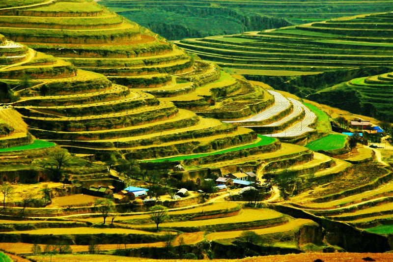 青云湾梯田