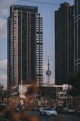 238876