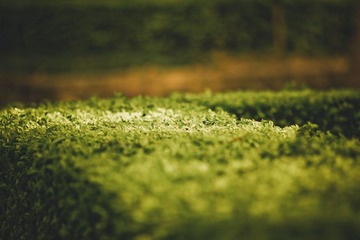 IMG_9883.jpg