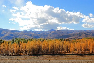 IMG_8739.JPG