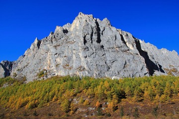 IMG_8797.JPG