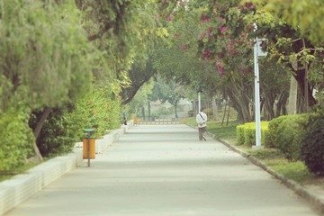 IMG_9909.jpg