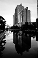 DSC_0539-1.jpg