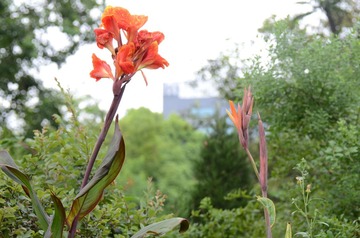 DSC_1202.JPG