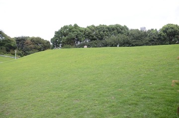 DSC_1203.JPG