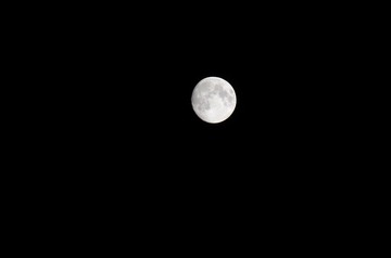 DSC_1337.JPG