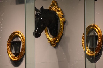 DSC_1506.JPG