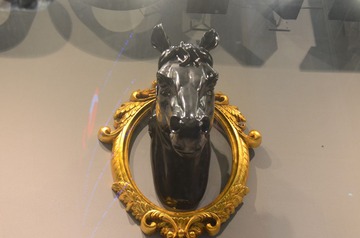 DSC_1510.JPG