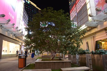 DSC_1525.JPG