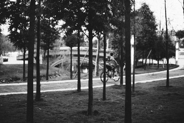 DSCF1309.jpg